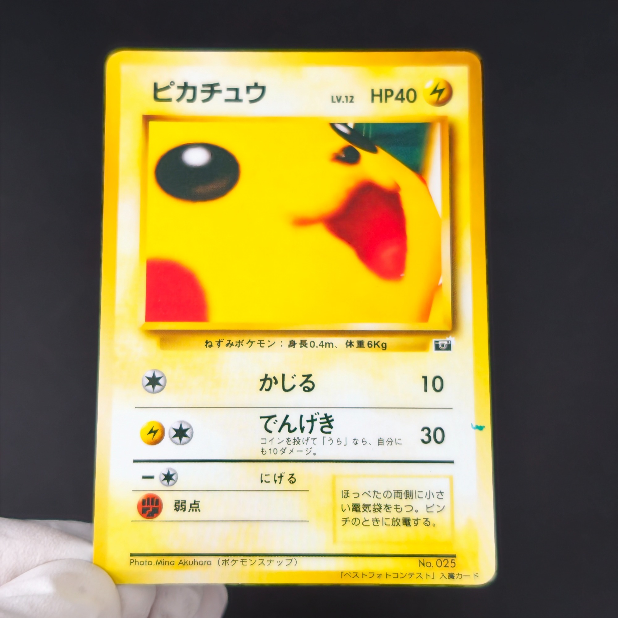 Retro Gaming Pokemon - 10 adet Pokemon Vintage Boy Bulbasaur